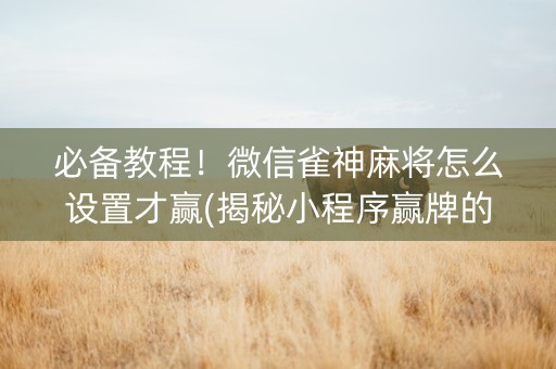 必备教程！微信雀神麻将怎么设置才赢(揭秘小程序赢牌的技巧)