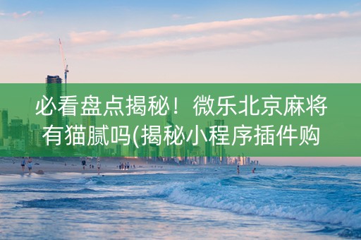 必看盘点揭秘！微乐北京麻将有猫腻吗(揭秘小程序插件购买)