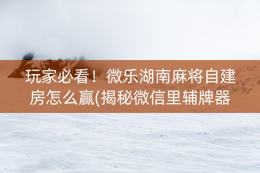 玩家必看！微乐湖南麻将自建房怎么赢(揭秘微信里辅牌器)