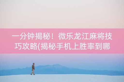 一分钟揭秘！微乐龙江麻将技巧攻略(揭秘手机上胜率到哪调)