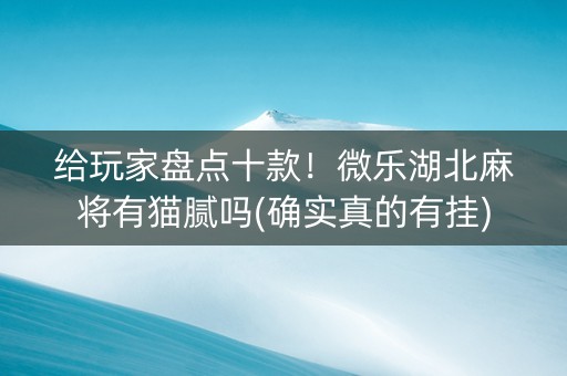 给玩家盘点十款！微乐湖北麻将有猫腻吗(确实真的有挂)