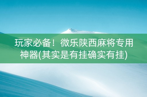 玩家必备！微乐陕西麻将专用神器(其实是有挂确实有挂)