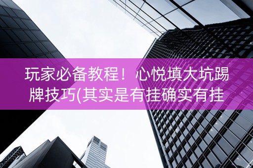 玩家必备教程！心悦填大坑踢牌技巧(其实是有挂确实有挂)