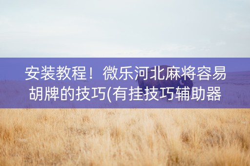 安装教程！微乐河北麻将容易胡牌的技巧(有挂技巧辅助器)