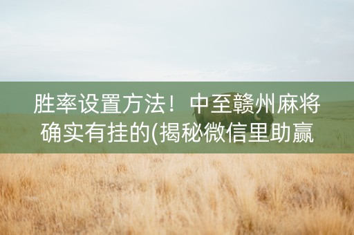 胜率设置方法！中至赣州麻将确实有挂的(揭秘微信里助赢神器)