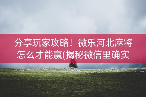 分享玩家攻略！微乐河北麻将怎么才能赢(揭秘微信里确实有猫腻)