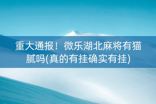 重大通报！微乐湖北麻将有猫腻吗(真的有挂确实有挂)