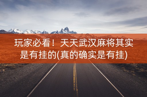 玩家必看！天天武汉麻将其实是有挂的(真的确实是有挂)