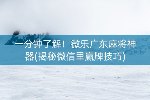 一分钟了解！微乐广东麻将神器(揭秘微信里赢牌技巧)
