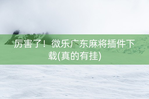 厉害了！微乐广东麻将插件下载(真的有挂)