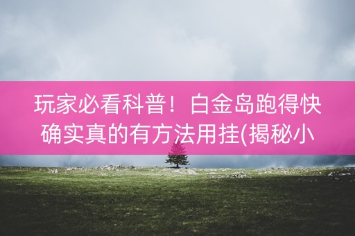 玩家必看科普！白金岛跑得快确实真的有方法用挂(揭秘小程序专用神器)