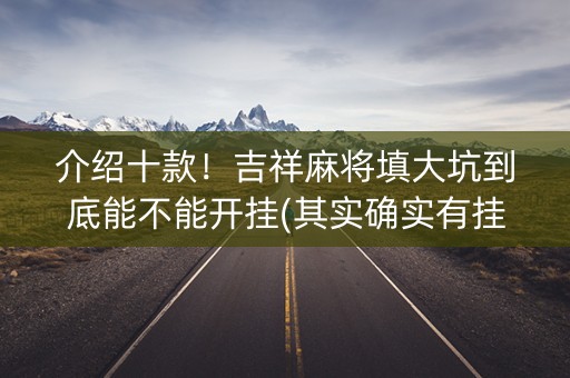 介绍十款！吉祥麻将填大坑到底能不能开挂(其实确实有挂)