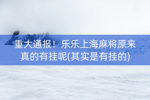 重大通报！乐乐上海麻将原来真的有挂呢(其实是有挂的)