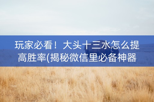 玩家必看！大头十三水怎么提高胜率(揭秘微信里必备神器)