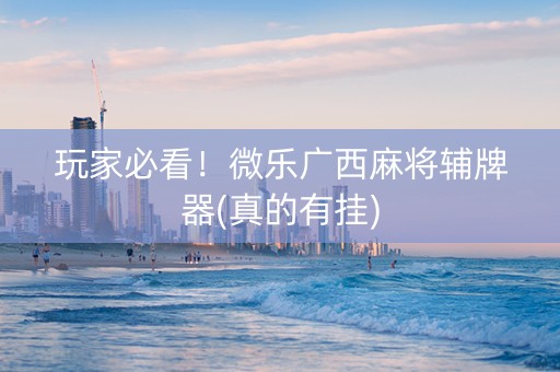 玩家必看！微乐广西麻将辅牌器(真的有挂)