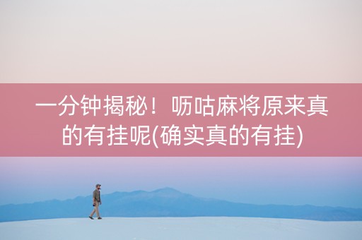 一分钟揭秘！呖咕麻将原来真的有挂呢(确实真的有挂)