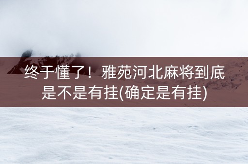 终于懂了！雅苑河北麻将到底是不是有挂(确定是有挂)