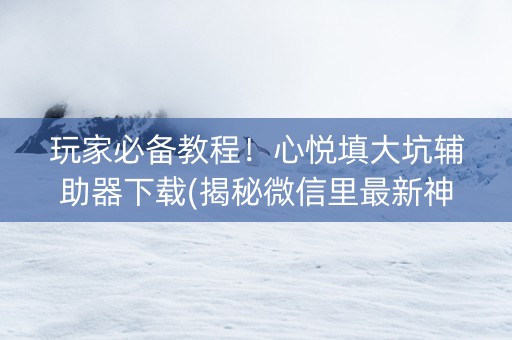 玩家必备教程！心悦填大坑辅助器下载(揭秘微信里最新神器下载)