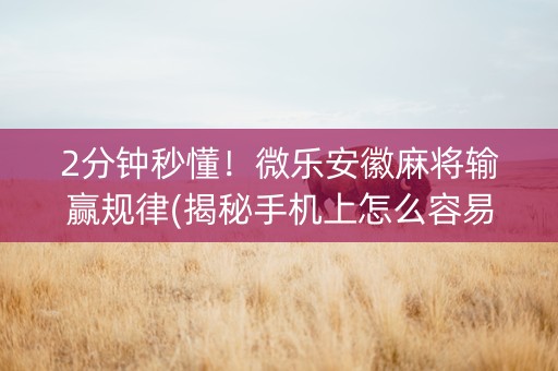 2分钟秒懂！微乐安徽麻将输赢规律(揭秘手机上怎么容易赢)