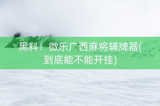 黑料！微乐广西麻将辅牌器(到底能不能开挂)