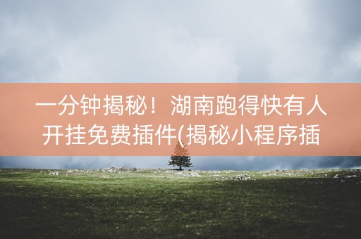 一分钟揭秘！湖南跑得快有人开挂免费插件(揭秘小程序插件免费)