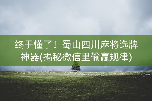 终于懂了！蜀山四川麻将选牌神器(揭秘微信里输赢规律)
