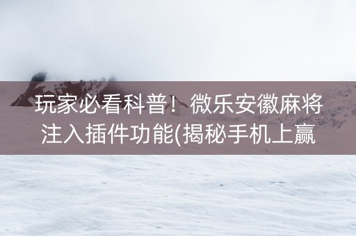 玩家必看科普！微乐安徽麻将注入插件功能(揭秘手机上赢的诀窍)