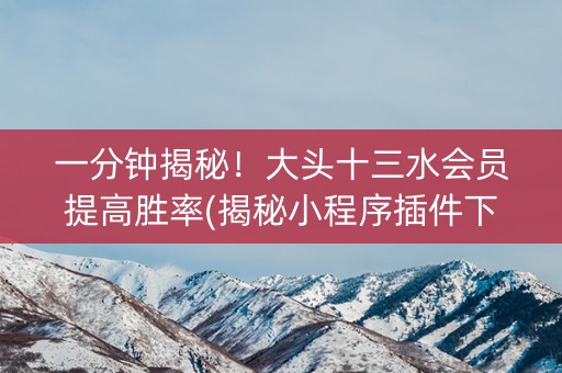 一分钟揭秘！大头十三水会员提高胜率(揭秘小程序插件下载)