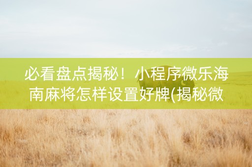 必看盘点揭秘！小程序微乐海南麻将怎样设置好牌(揭秘微信里助赢神器购买)