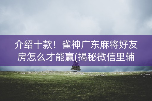 介绍十款！雀神广东麻将好友房怎么才能赢(揭秘微信里辅牌器)