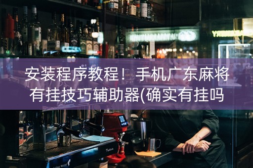 安装程序教程！手机广东麻将有挂技巧辅助器(确实有挂吗)