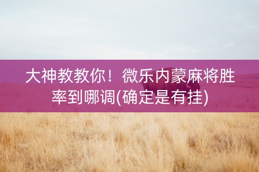 大神教教你！微乐内蒙麻将胜率到哪调(确定是有挂)