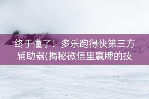 终于懂了！多乐跑得快第三方辅助器(揭秘微信里赢牌的技巧)