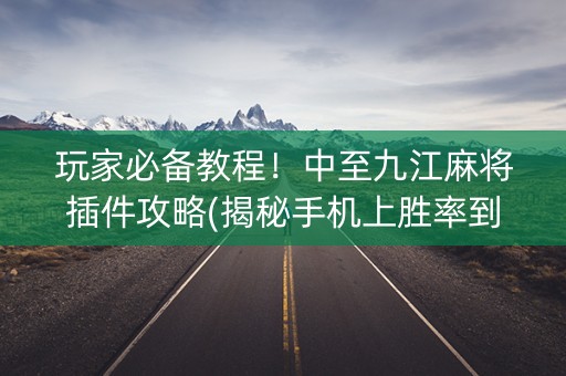 玩家必备教程！中至九江麻将插件攻略(揭秘手机上胜率到哪调)