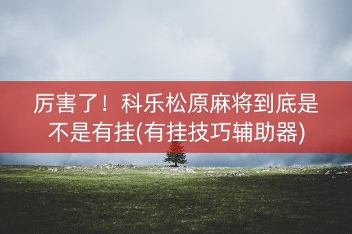 厉害了！科乐松原麻将到底是不是有挂(有挂技巧辅助器)