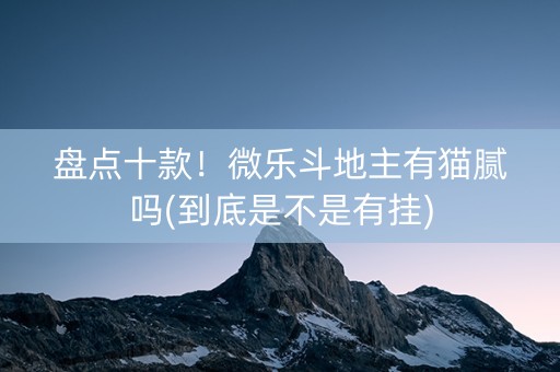 盘点十款！微乐斗地主有猫腻吗(到底是不是有挂)