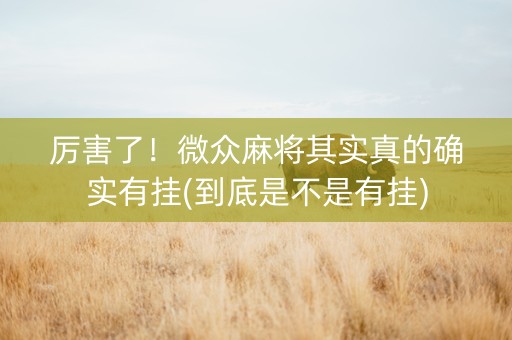 厉害了！微众麻将其实真的确实有挂(到底是不是有挂)
