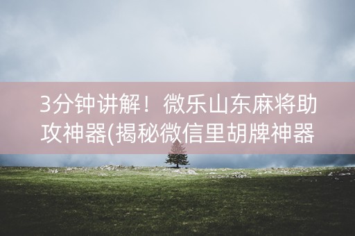 3分钟讲解！微乐山东麻将助攻神器(揭秘微信里胡牌神器)