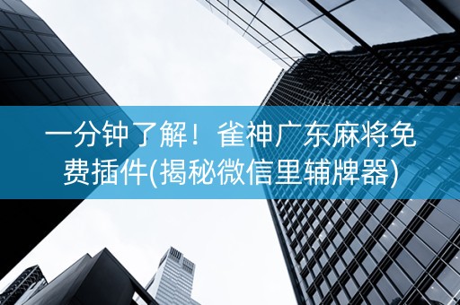 一分钟了解！雀神广东麻将免费插件(揭秘微信里辅牌器)