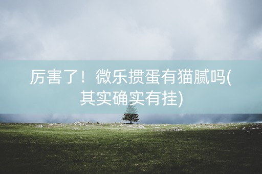 厉害了！微乐掼蛋有猫腻吗(其实确实有挂)