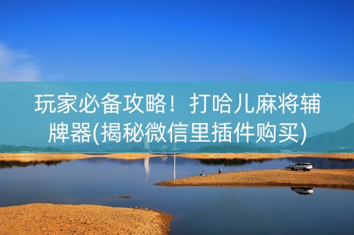 玩家必备攻略！打哈儿麻将辅牌器(揭秘微信里插件购买)