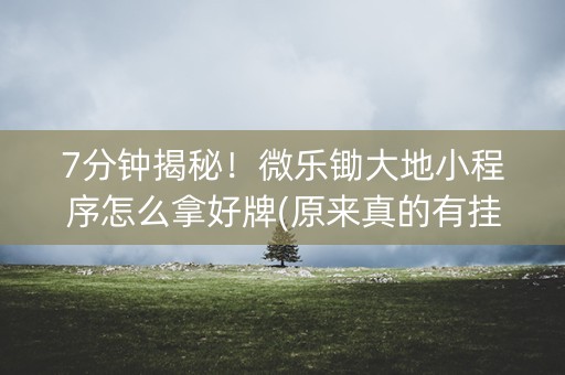 7分钟揭秘！微乐锄大地小程序怎么拿好牌(原来真的有挂)