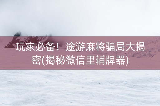 玩家必备！途游麻将骗局大揭密(揭秘微信里辅牌器)