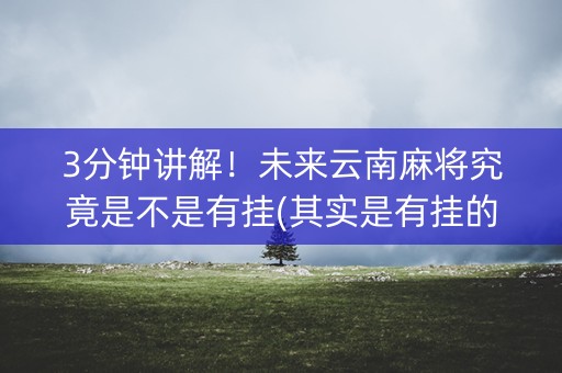 3分钟讲解！未来云南麻将究竟是不是有挂(其实是有挂的)