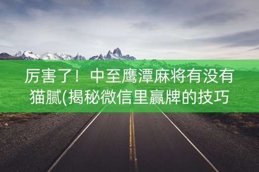 厉害了！中至鹰潭麻将有没有猫腻(揭秘微信里赢牌的技巧)