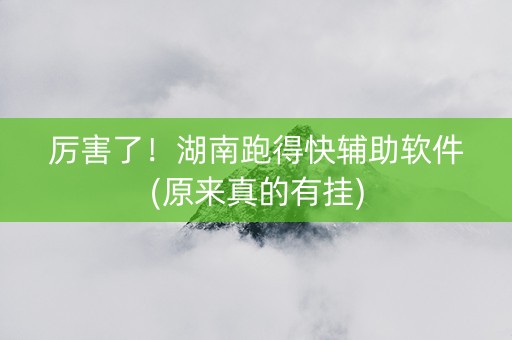 厉害了！湖南跑得快辅助软件(原来真的有挂)