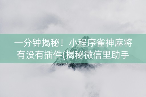 一分钟揭秘！小程序雀神麻将有没有插件(揭秘微信里助手软件)