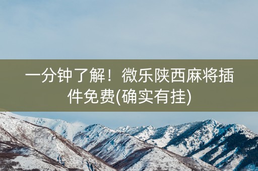 一分钟了解！微乐陕西麻将插件免费(确实有挂)