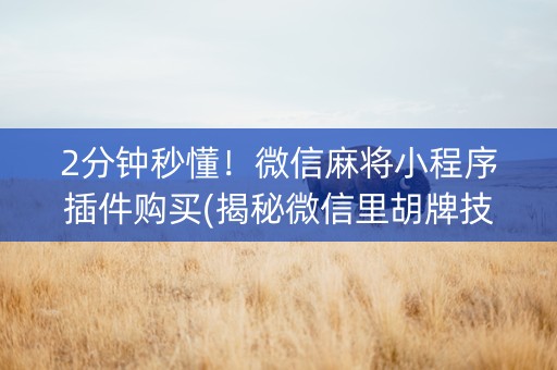 2分钟秒懂！微信麻将小程序插件购买(揭秘微信里胡牌技巧)