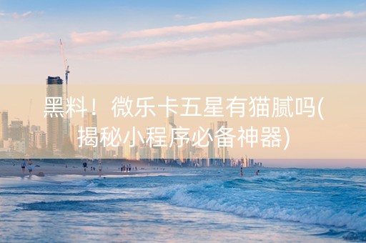 黑料！微乐卡五星有猫腻吗(揭秘小程序必备神器)